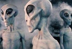 外星人在线观看,揭秘外星人在线观看之旅